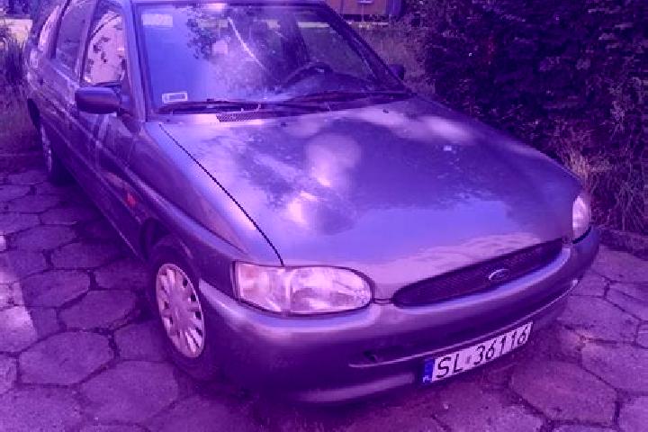 escort Ruda