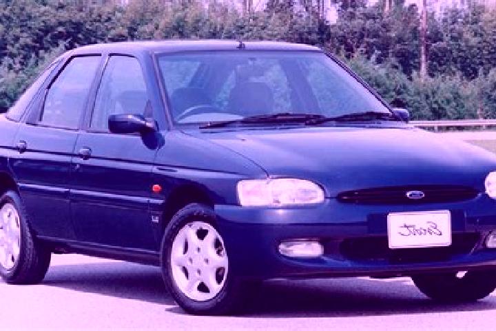 escort Rudno