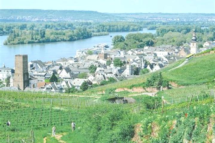 escort Ruedesheim am Rhein