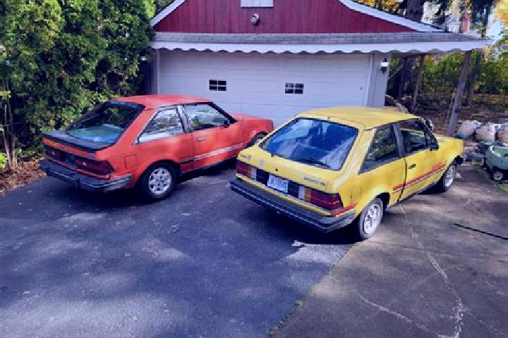 escort Rujiena
