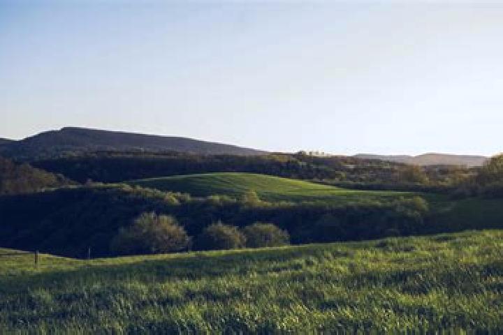 escort Rural Valley