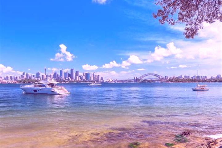 escort Rushcutters Bay