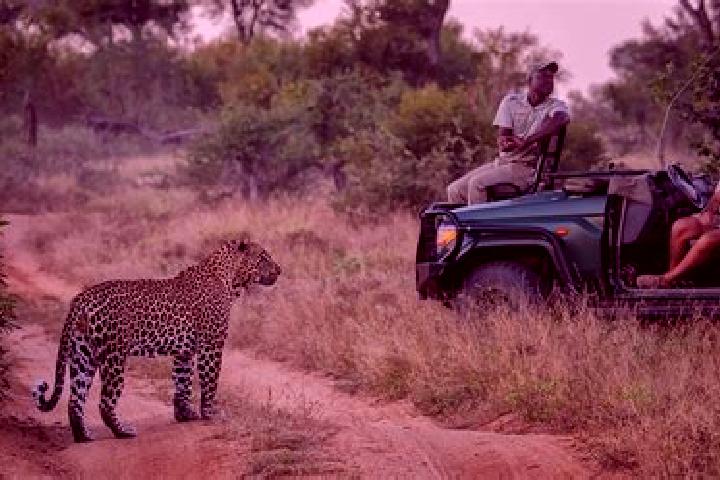 escort Sabi-Sand Game Reserve