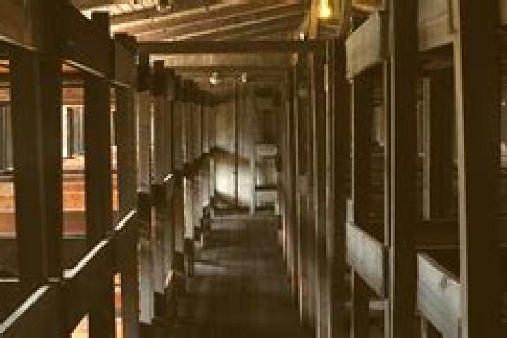 escort Sachsenhausen