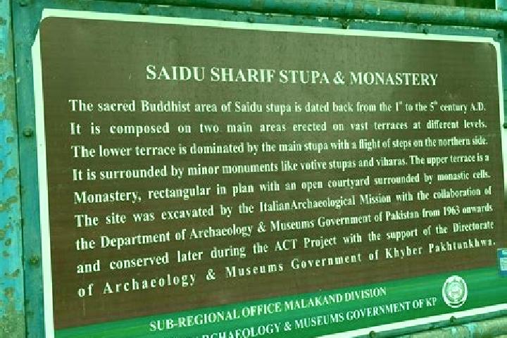 escort Saidu Sharif