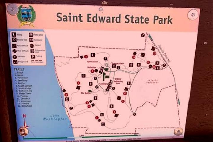 escort Saint Edward