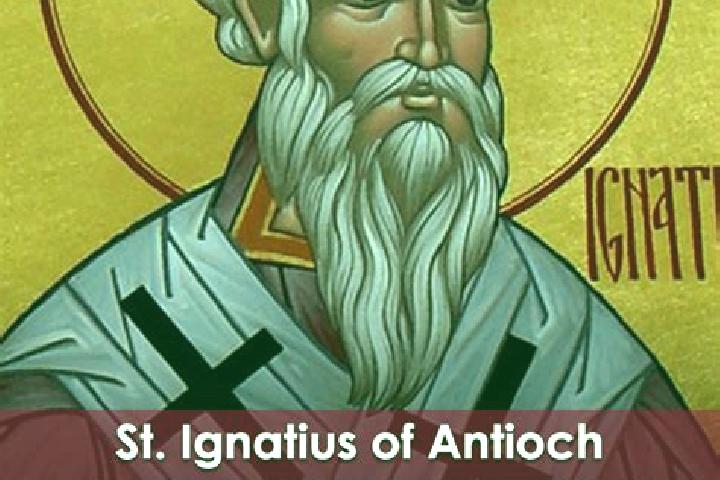 escort Saint Ignatius
