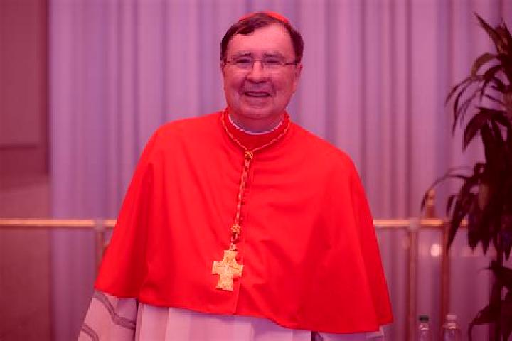 escort Saint Pierre du Bois Parish