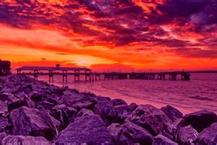 escort Saint Simons Island