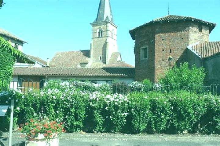 escort Saint-Trivier-de-Courtes
