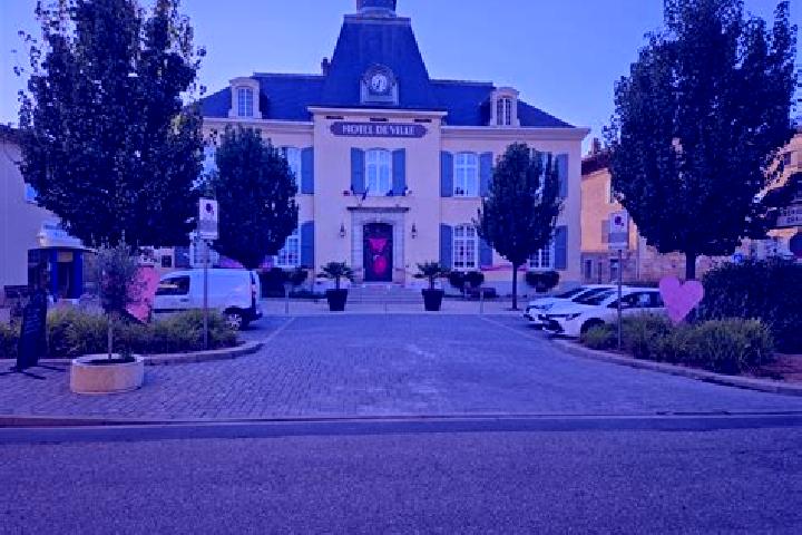 escort Saint-Trivier-sur-Moignans