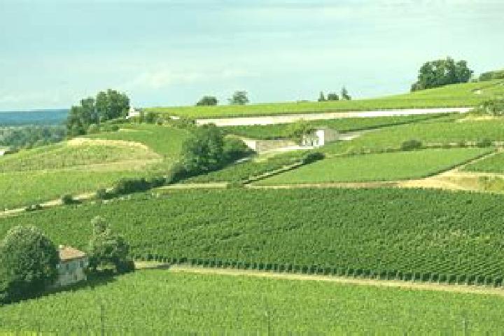 escort Saint-Yon
