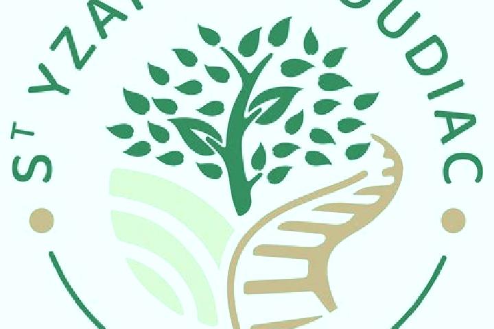 escort Saint-Yzan-de-Soudiac