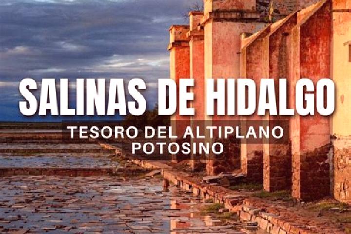 escort Salinas de Hidalgo