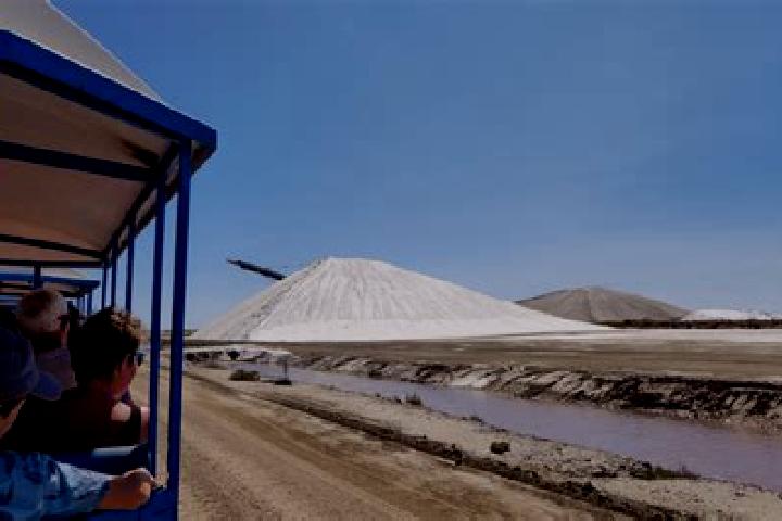 escort Salins