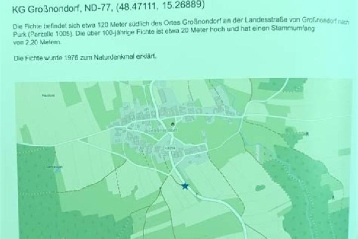 escort Sallingberg