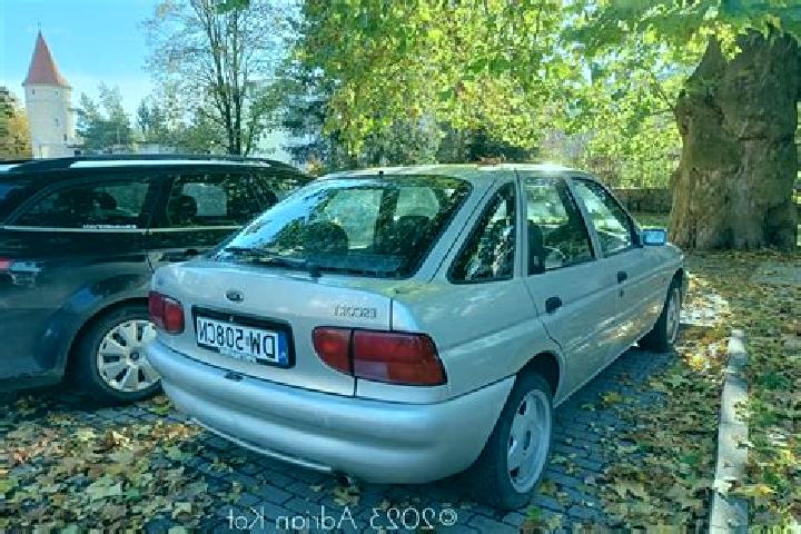 escort Salorno