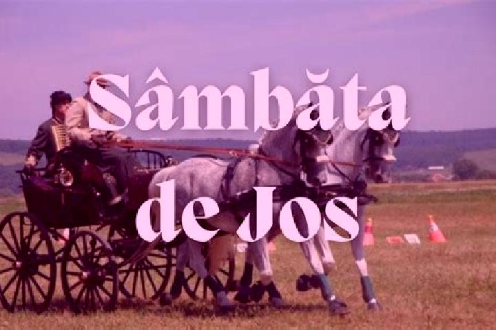 escort Sambata de Jos