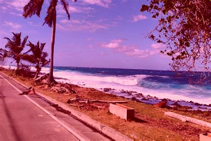 escort San Andres de las Peras