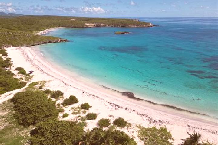 escort San Andres Puerto Rico