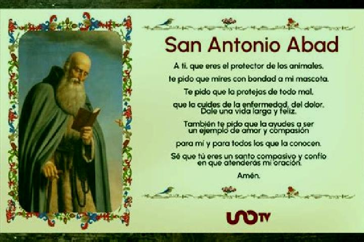 escort San Antonio Abad
