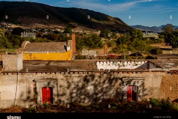 escort San Antonio Arrazola