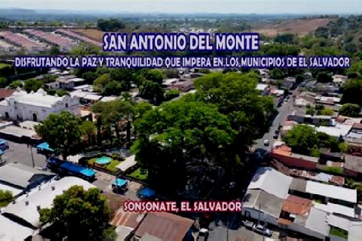 escort San Antonio del Monte