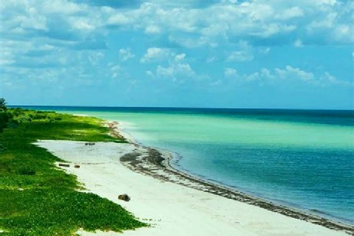 escort San Crisanto