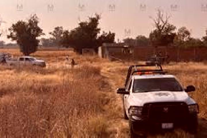 escort San Diego el Grande