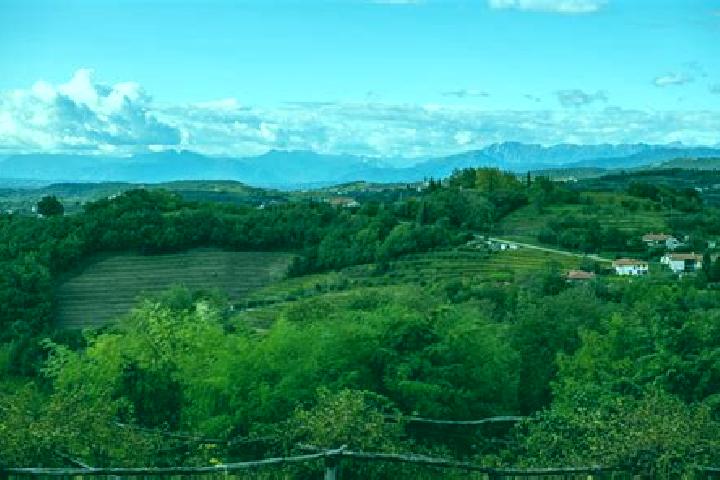 escort San Floriano del Collio