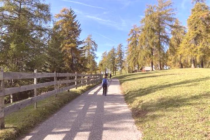 escort San Genesio