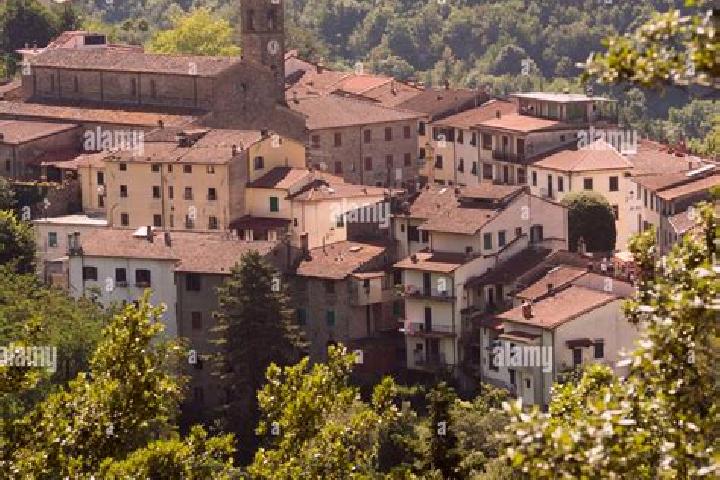 escort San Godenzo