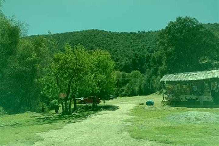 escort San Jeronimo Amanalco