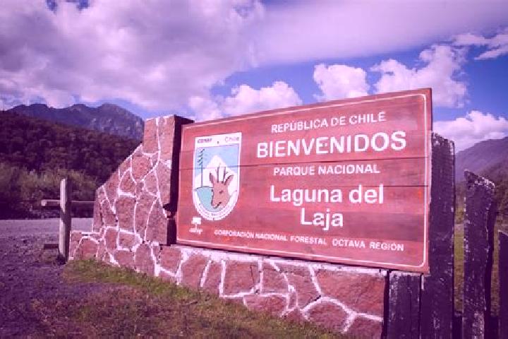 escort San Jose de la Laja