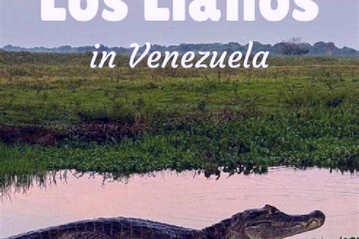 escort San Jose de los Llanos
