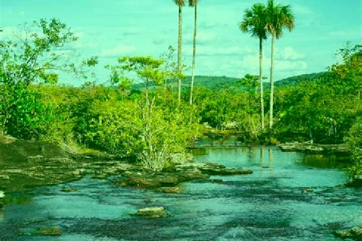 escort San Jose del Guaviare