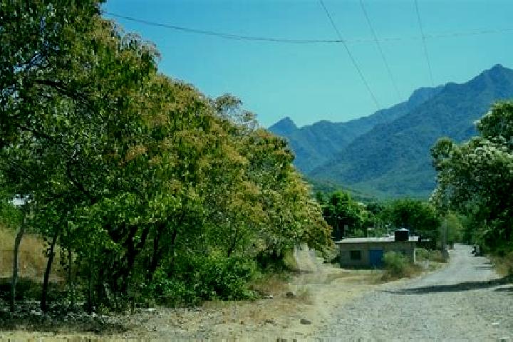 escort San Juan Chamacua