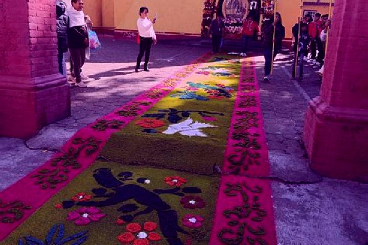 escort San Juan Coxtocan