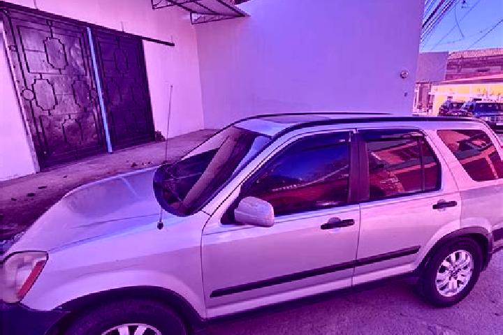 escort San Juan de Flores