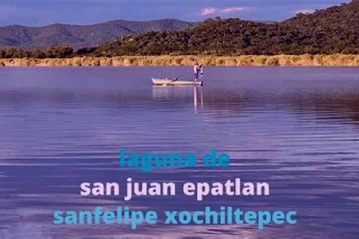 escort San Juan Epatlan