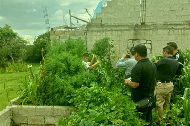 escort San Juan Huiloapan