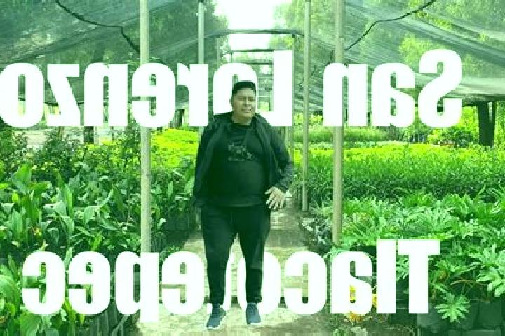 escort San Lorenzo Tlacotepec