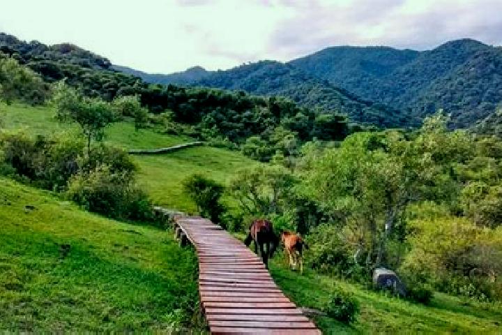 escort San Lorenzo Vista Hermosa