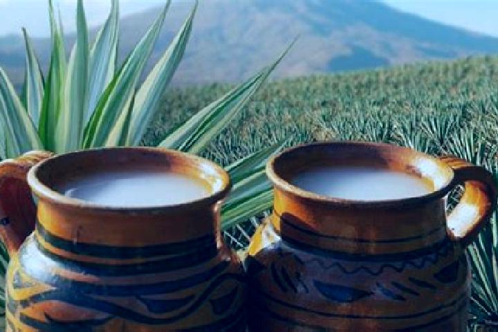 escort San Lucas del Pulque