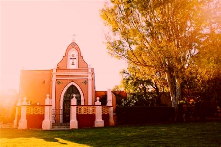 escort San Luis de Letras