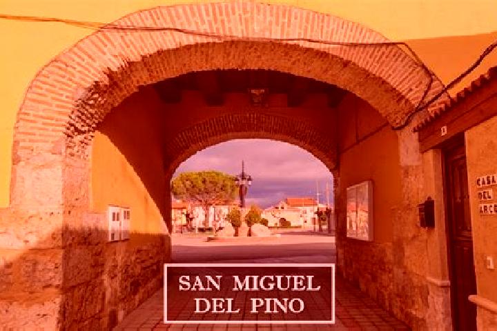 escort San Miguel del Pino