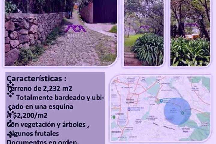 escort San Miguel Tlaixpan
