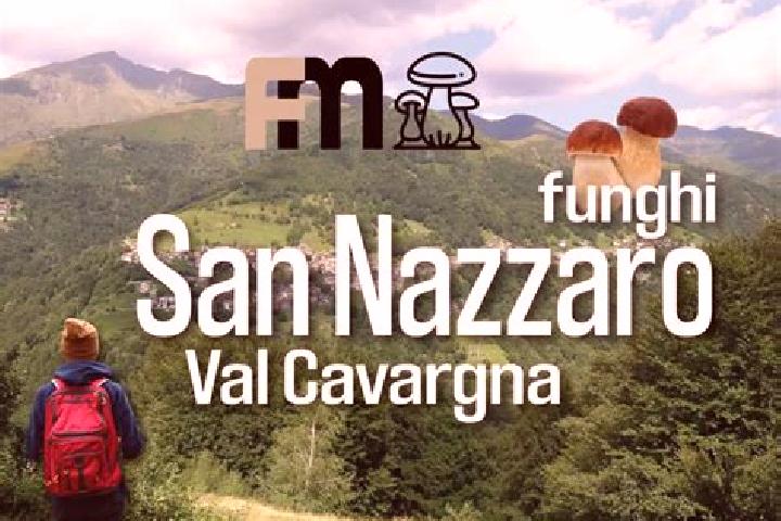 escort San Nazzaro Val Cavargna