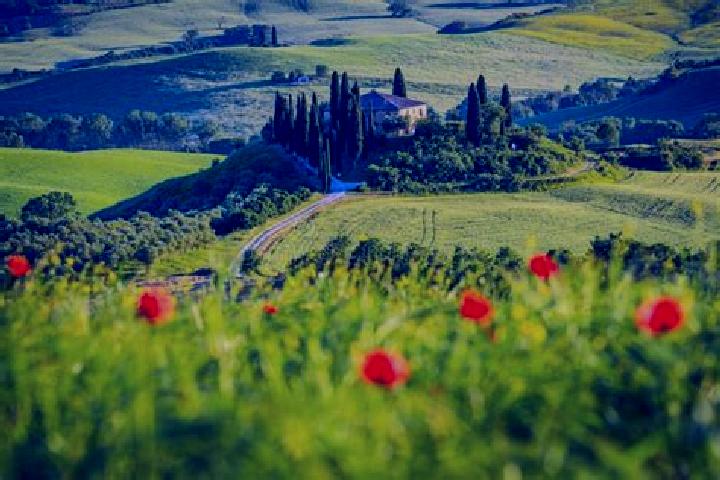 escort San Piero in Campo
