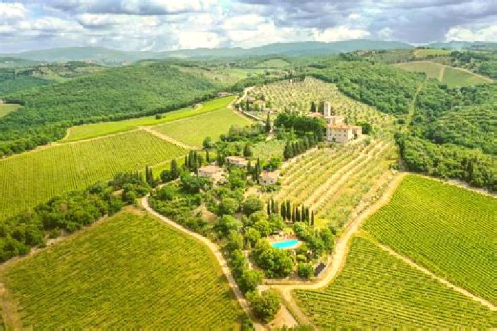 escort San Polo in Chianti